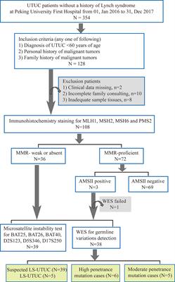 Identification of Germline Mutations in Upper Tract Urothelial Carcinoma With Suspected Lynch Syndrome